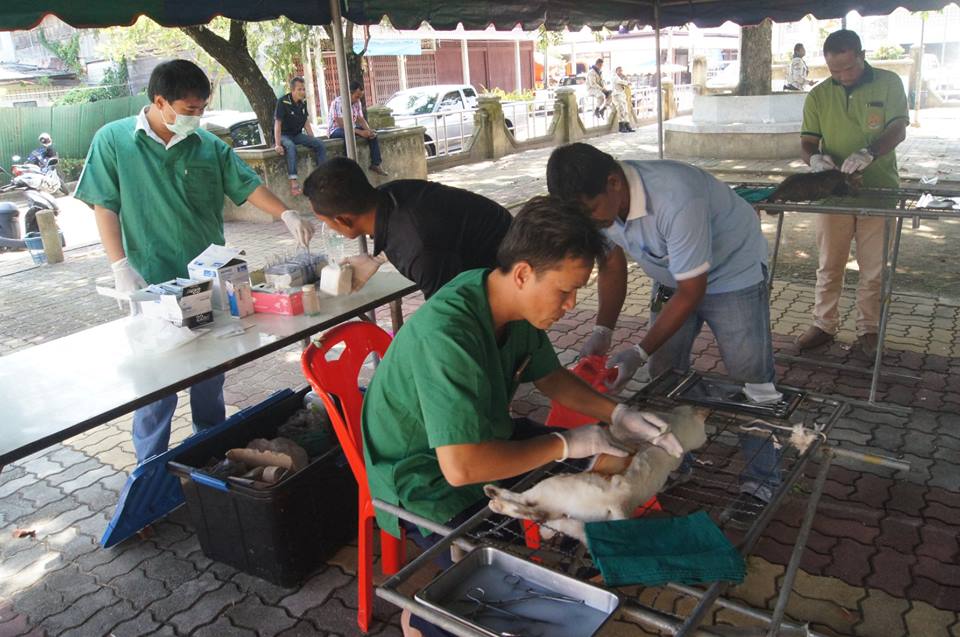 โครงการรณรงค์ฉีดวัคซีนป้องกัน<br>โรคพิษสุนัขบ้า ประจำปี 2561
